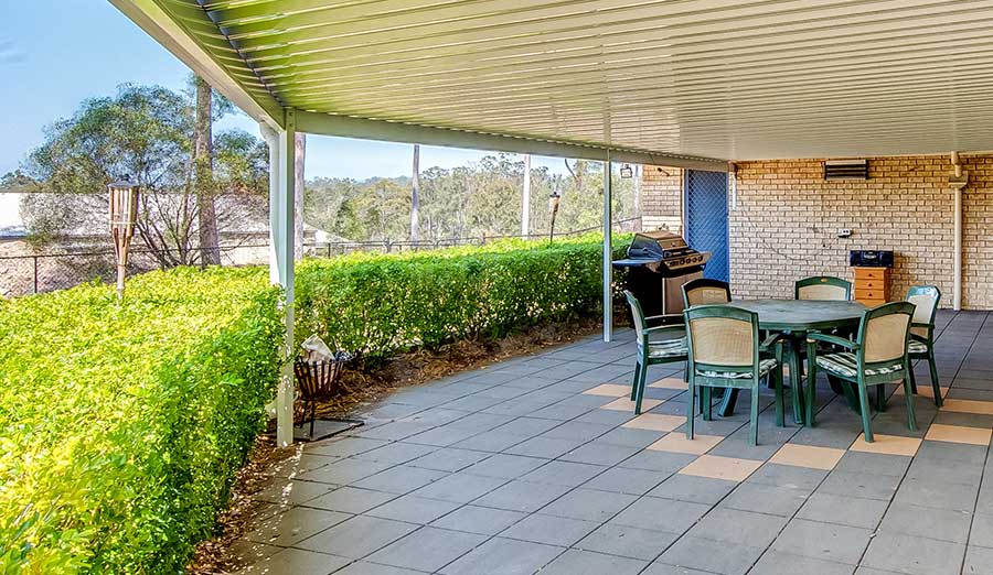 Natural Shields for Your Patio